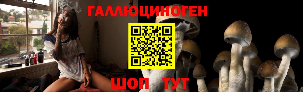 Ивантеевка  Псилоцибиновые грибы Psilocybe  Вход с VPN  Галлюциногенные грибы мицелий 